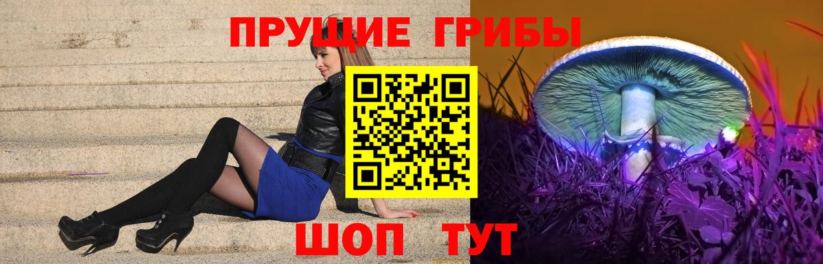 Псилоцибиновые грибы мицелий Новошахтинск